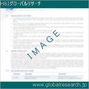 グローバルリサーチ調査レポートのイメージ